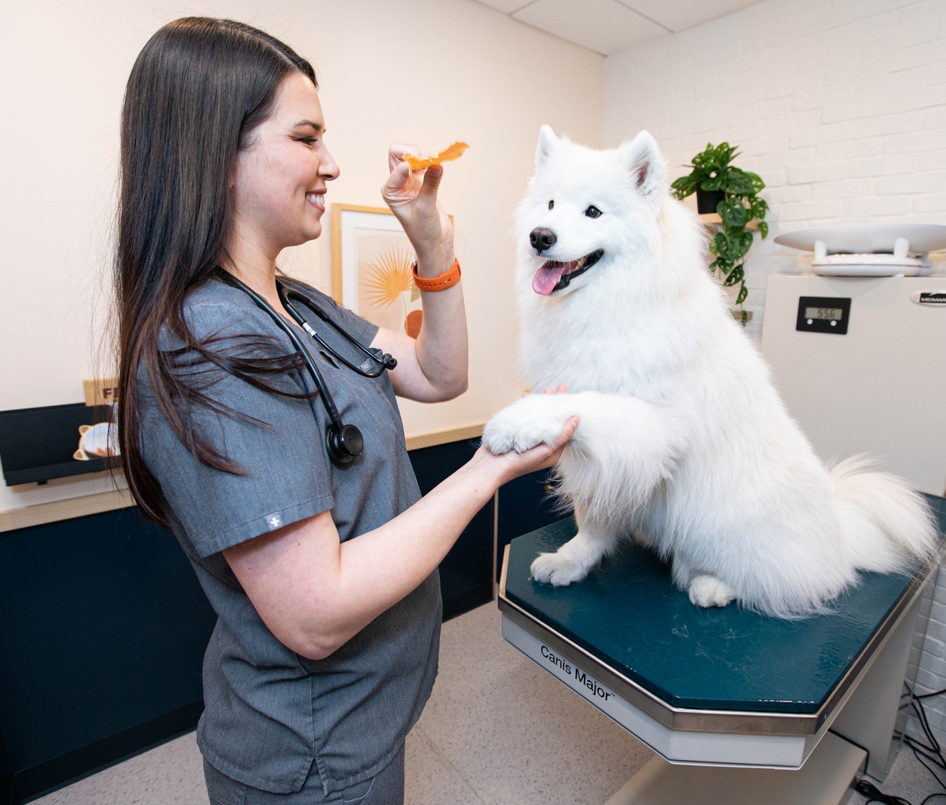 Union Animal Hospital & Vet Clinic in New Jersey Bond Vet